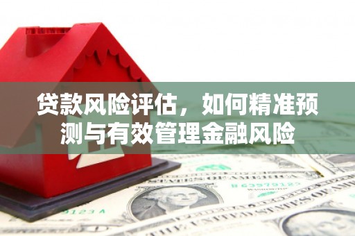 彝良贷款风险评估，如何精准预测与有效管理金融风险
