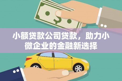 彝良小额贷款公司贷款，助力小微企业的金融新选择