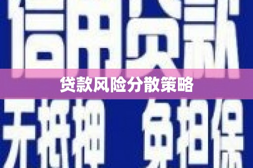 彝良贷款风险分散策略