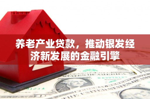 彝良养老产业贷款，推动银发经济新发展的金融引擎