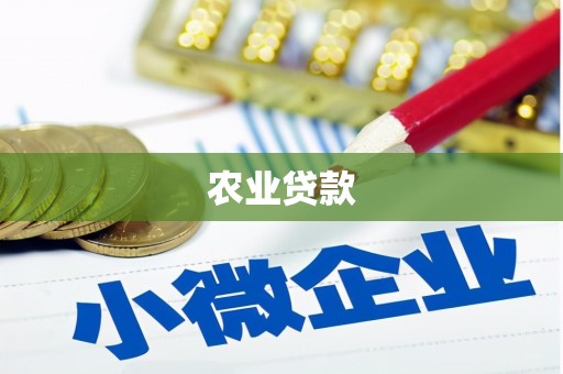 彝良农业贷款