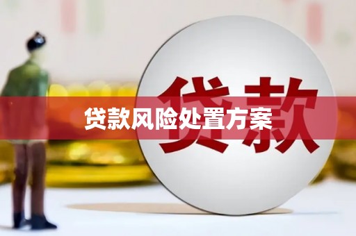 彝良贷款风险处置方案