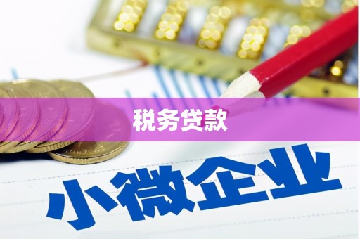 彝良税务贷款