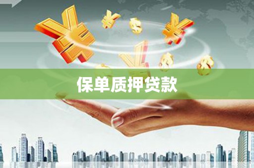 彝良保单质押贷款
