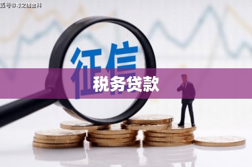 彝良税务贷款