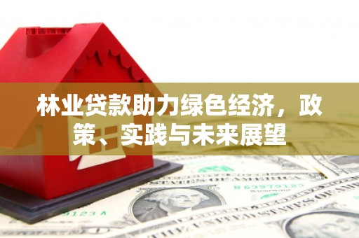 彝良林业贷款助力绿色经济，政策、实践与未来展望