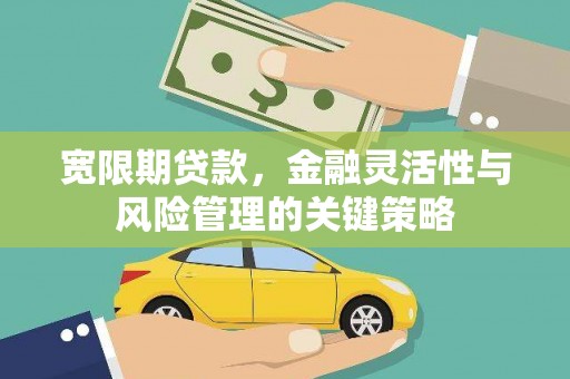 彝良宽限期贷款，金融灵活性与风险管理的关键策略