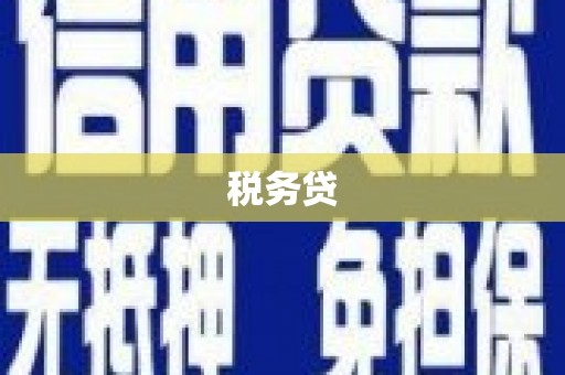 彝良税务贷