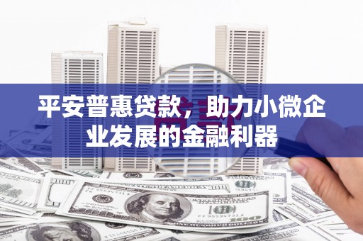 彝良平安普惠贷款，助力小微企业发展的金融利器