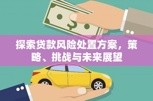 彝良探索贷款风险处置方案，策略、挑战与未来展望
