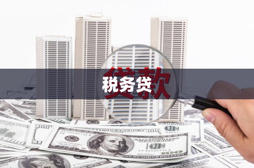 彝良税务贷