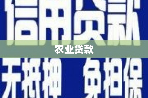 彝良农业贷款