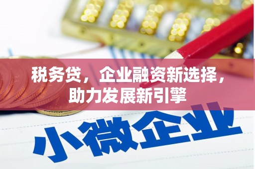 彝良税务贷，企业融资新选择，助力发展新引擎