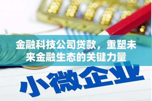 彝良金融科技公司贷款，重塑未来金融生态的关键力量
