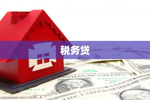 彝良税务贷