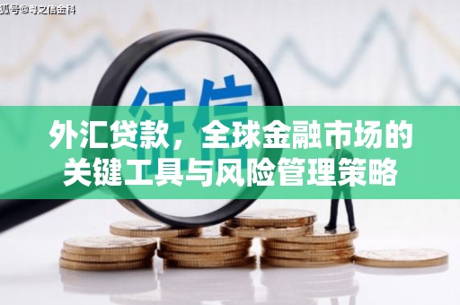 彝良外汇贷款，全球金融市场的关键工具与风险管理策略