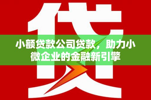 彝良小额贷款公司贷款，助力小微企业的金融新引擎