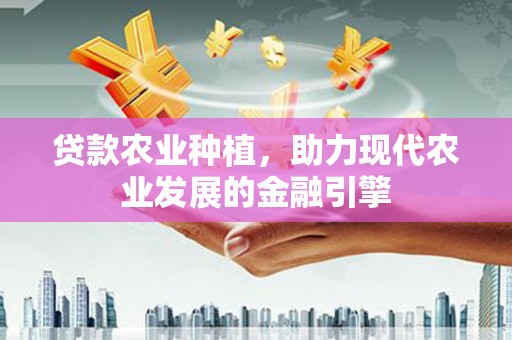 彝良贷款农业种植，助力现代农业发展的金融引擎