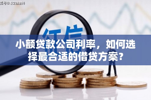 彝良小额贷款公司利率，如何选择最合适的借贷方案？