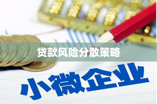 彝良贷款风险分散策略