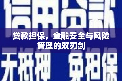 彝良贷款担保，金融安全与风险管理的双刃剑