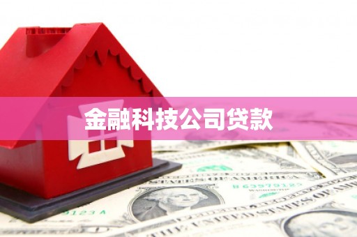 彝良金融科技公司贷款