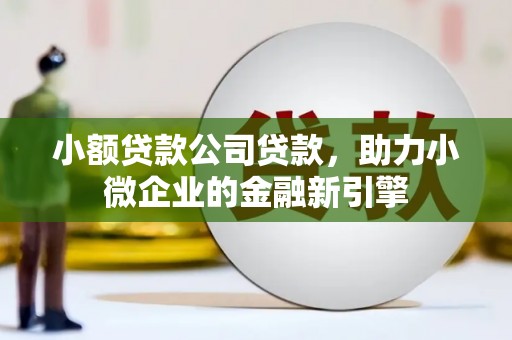 彝良小额贷款公司贷款，助力小微企业的金融新引擎