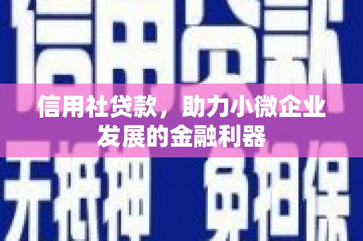 彝良信用社贷款，助力小微企业发展的金融利器