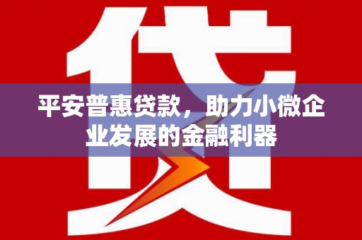 彝良平安普惠贷款，助力小微企业发展的金融利器