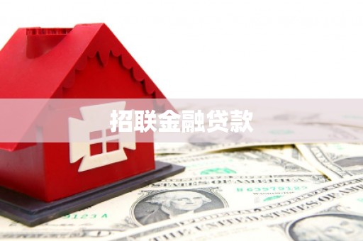 彝良招联金融贷款