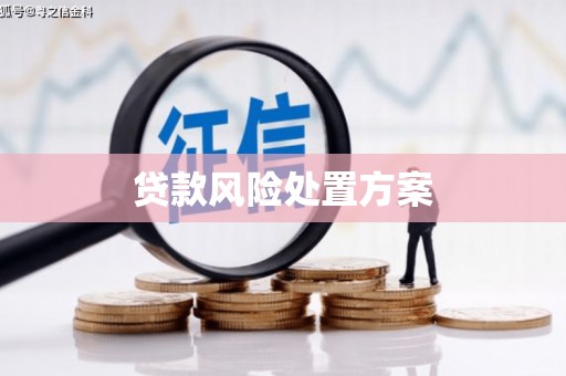 彝良贷款风险处置方案