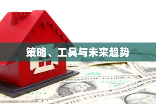 彝良策略、工具与未来趋势