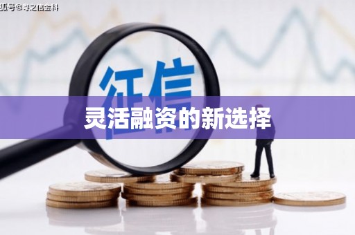 彝良灵活融资的新选择