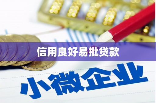 彝良信用良好易批贷款