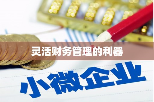 彝良灵活财务管理的利器