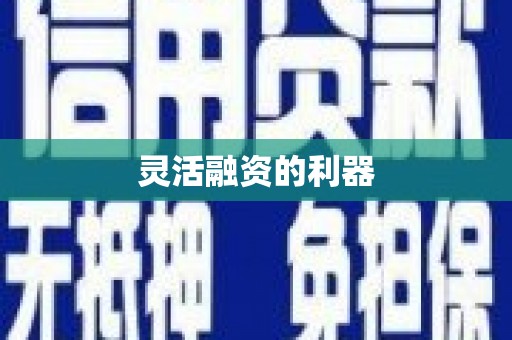 彝良灵活融资的利器