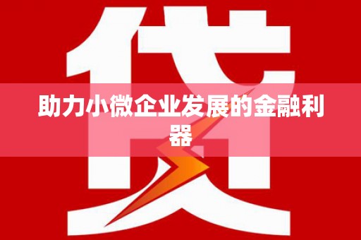彝良助力小微企业发展的金融利器