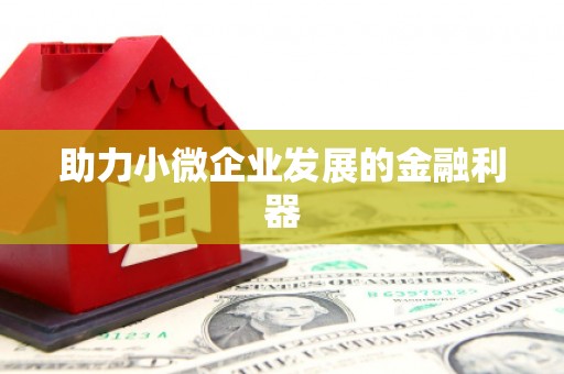 彝良助力小微企业发展的金融利器