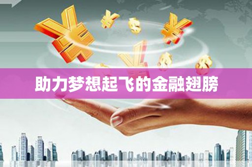 彝良助力梦想起飞的金融翅膀