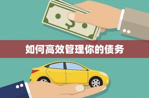 彝良如何高效管理你的债务