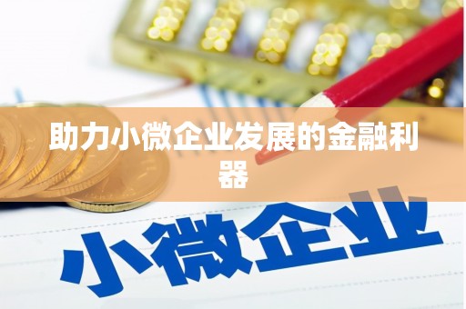 彝良助力小微企业发展的金融利器