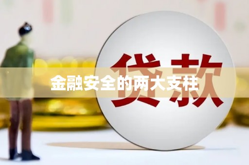 彝良金融安全的两大支柱