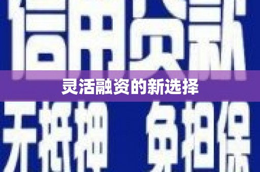 彝良灵活融资的新选择