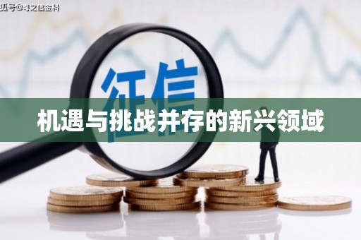 彝良机遇与挑战并存的新兴领域