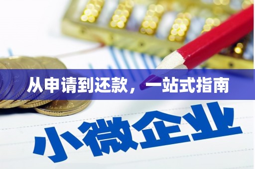 彝良从申请到还款，一站式指南