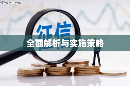 彝良全面解析与实施策略