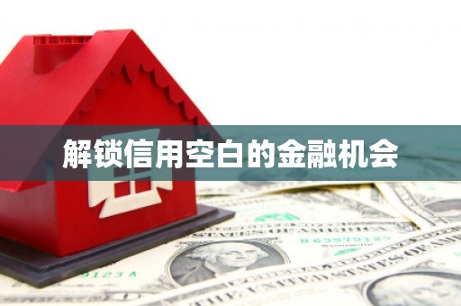 彝良解锁信用空白的金融机会