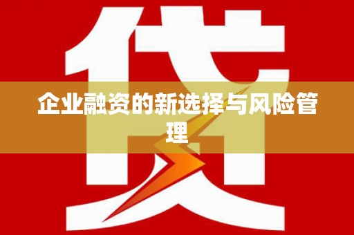 彝良企业融资的新选择与风险管理