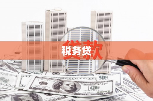彝良税务贷