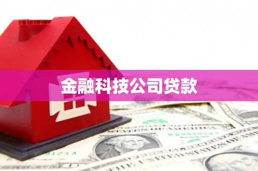 彝良金融科技公司贷款